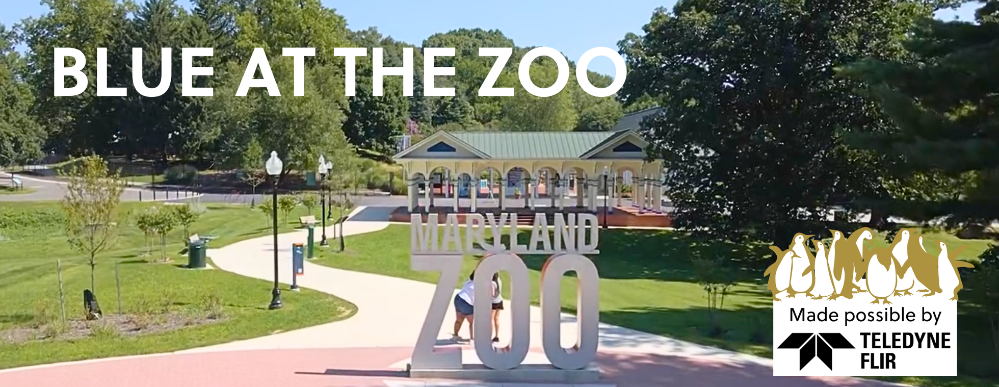 Blue at the Zoo